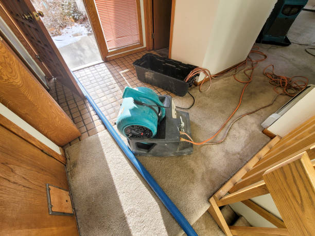 Best Water damage cleanup near me  in East Orange, NJ